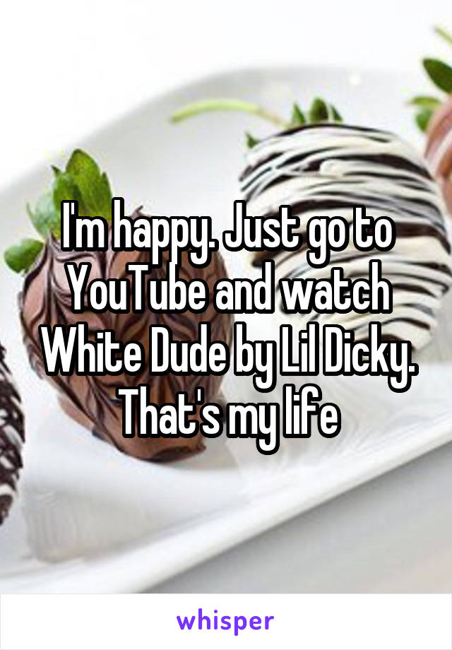 I'm happy. Just go to YouTube and watch White Dude by Lil Dicky. That's my life