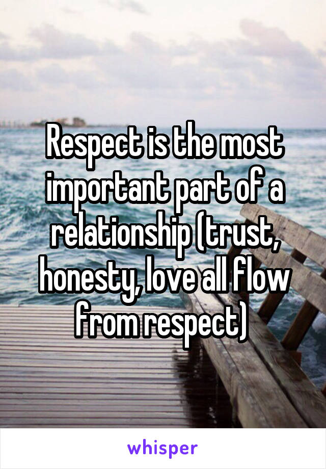 Respect is the most important part of a relationship (trust, honesty, love all flow from respect) 