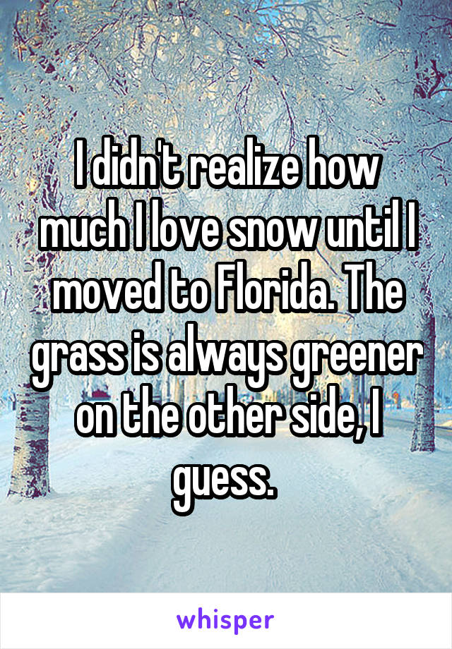 I didn't realize how much I love snow until I moved to Florida. The grass is always greener on the other side, I guess. 