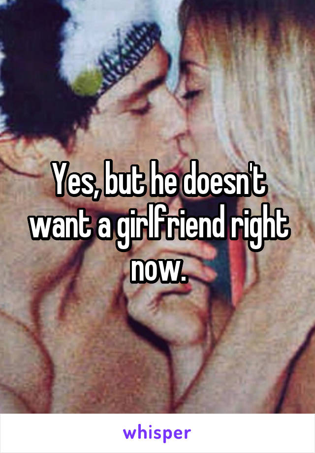 Yes, but he doesn't want a girlfriend right now.