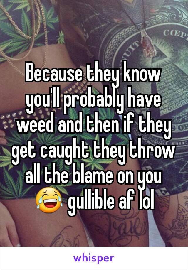 Because they know you'll probably have weed and then if they get caught they throw all the blame on you 😂 gullible af lol