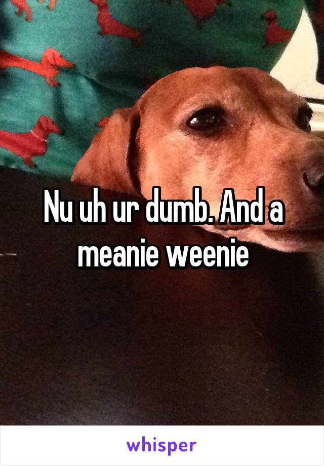 Nu uh ur dumb. And a meanie weenie