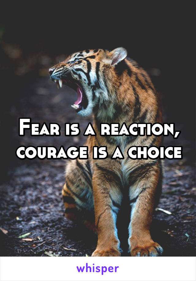 Fear is a reaction, courage is a choice