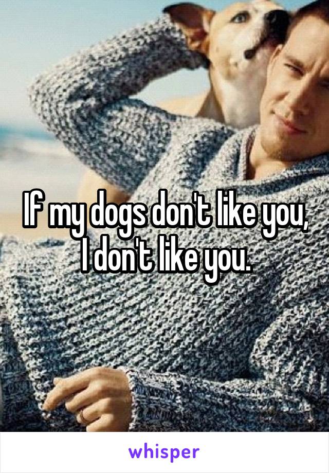 If my dogs don't like you, I don't like you.