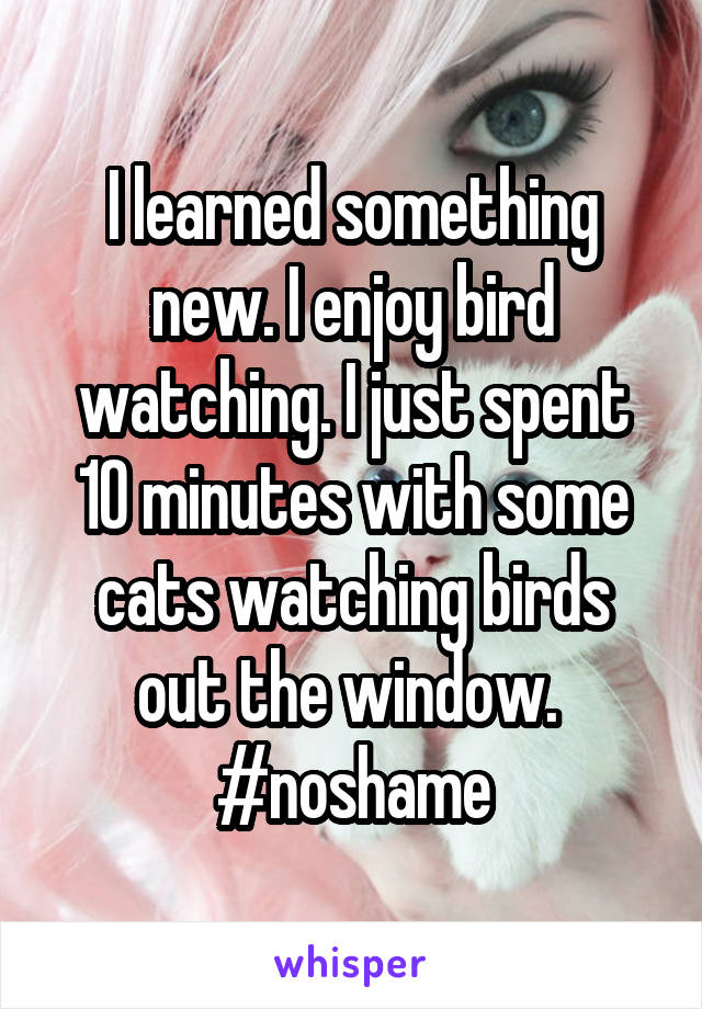 I learned something new. I enjoy bird watching. I just spent 10 minutes with some cats watching birds out the window. 
#noshame