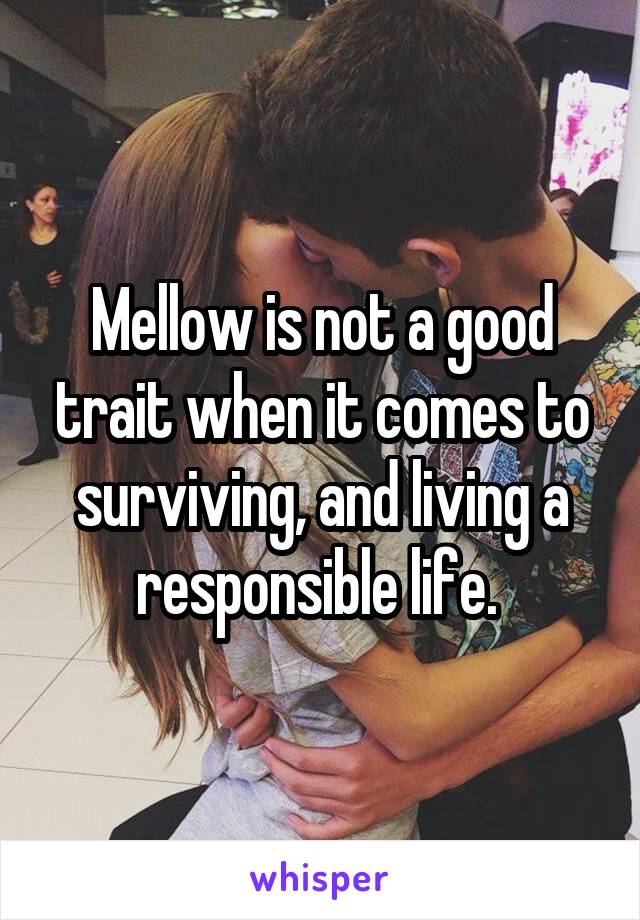 Mellow is not a good trait when it comes to surviving, and living a responsible life. 