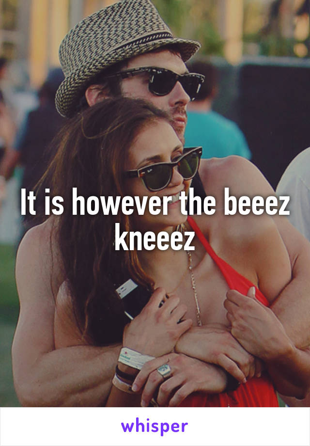 It is however the beeez kneeez