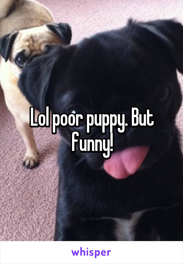 Lol poor puppy. But funny!