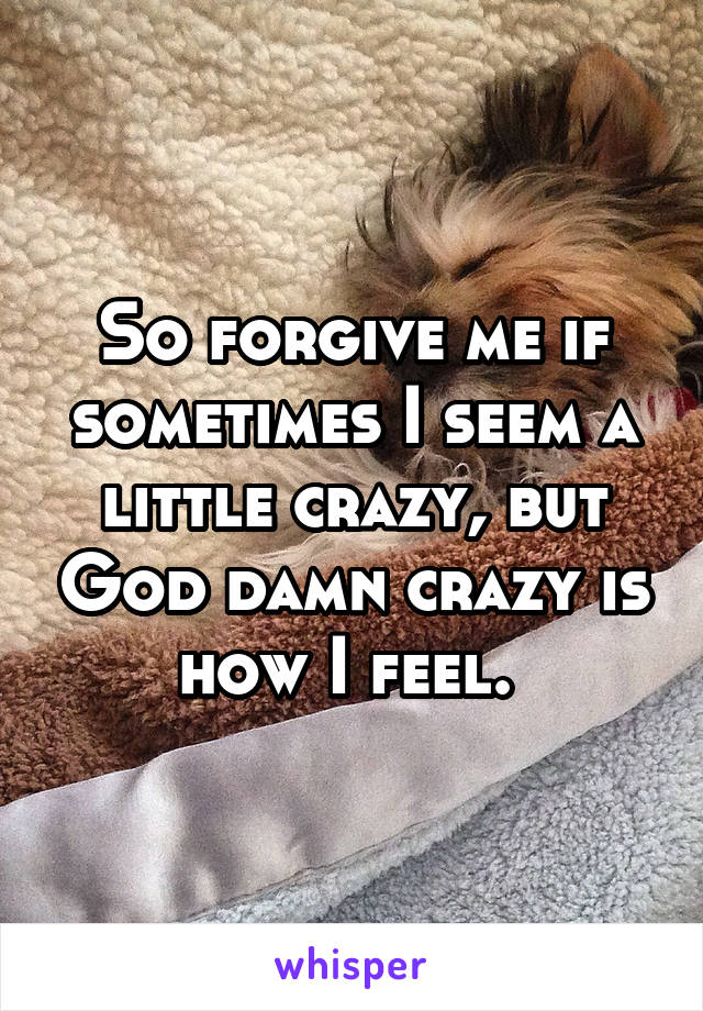 So forgive me if sometimes I seem a little crazy, but God damn crazy is how I feel. 