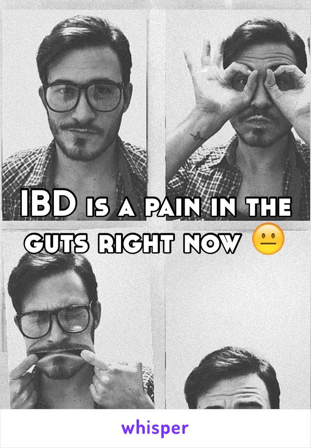 IBD is a pain in the guts right now 😐