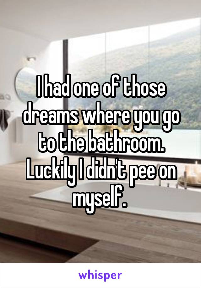 I had one of those dreams where you go to the bathroom. Luckily I didn't pee on myself. 