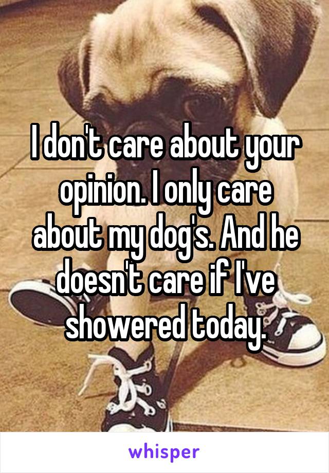 I don't care about your opinion. I only care about my dog's. And he doesn't care if I've showered today.