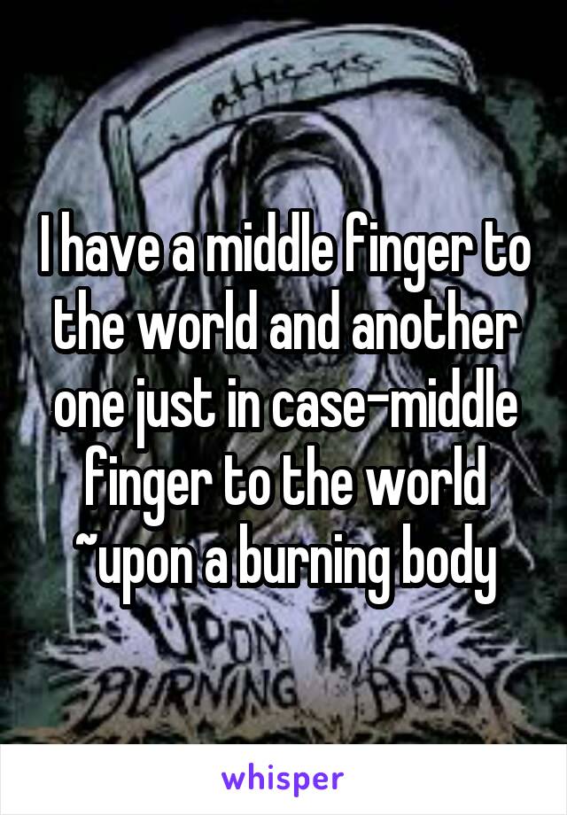 I have a middle finger to the world and another one just in case-middle finger to the world ~upon a burning body