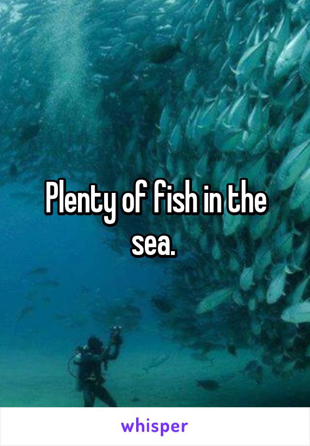 Plenty of fish in the sea. 