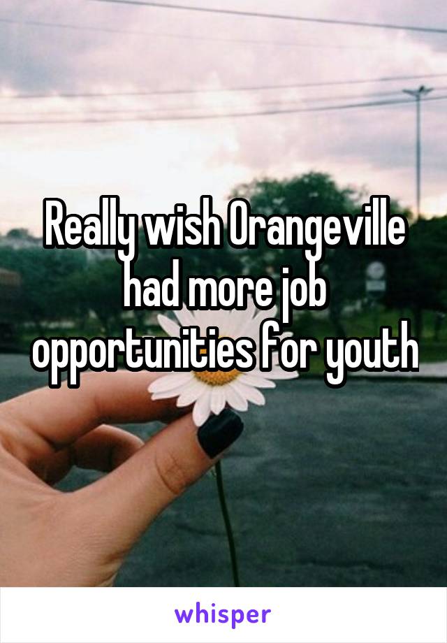 Really wish Orangeville had more job opportunities for youth 