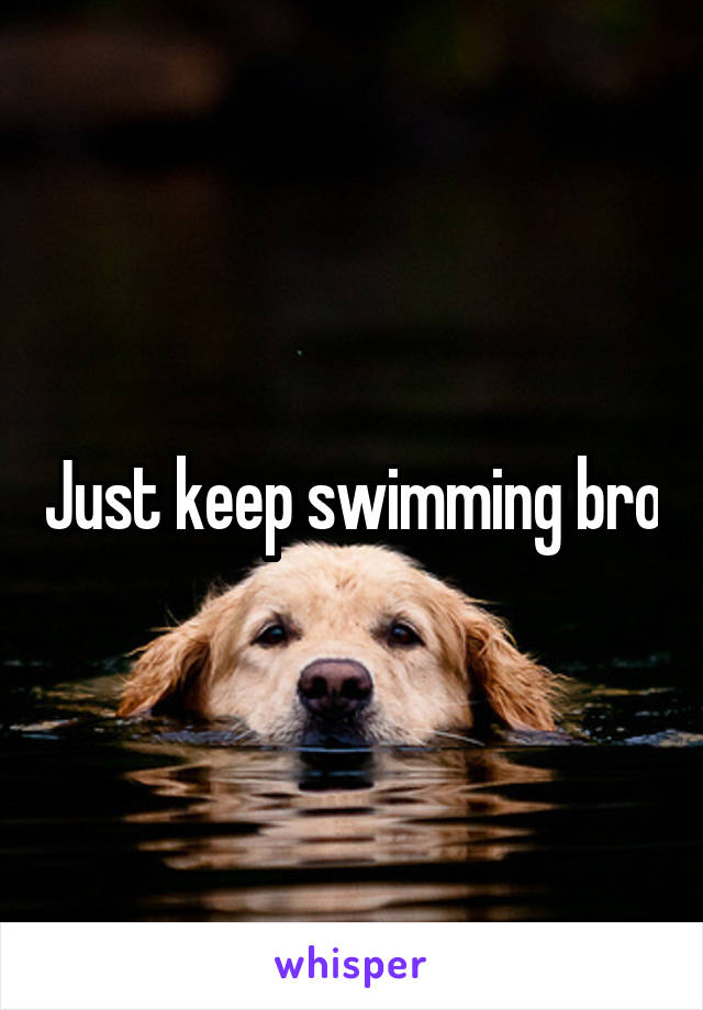 Just keep swimming bro