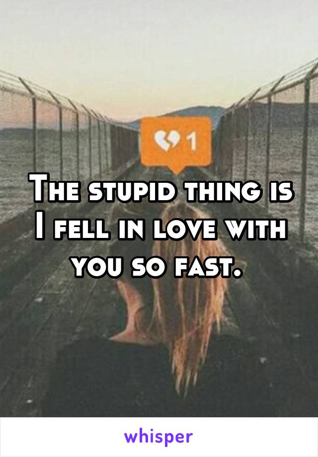 The stupid thing is I fell in love with you so fast. 