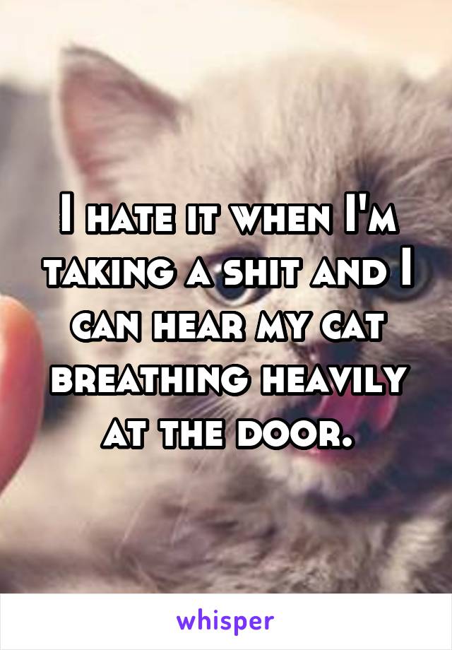 I hate it when I'm taking a shit and I can hear my cat breathing heavily at the door.