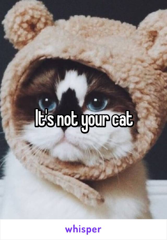 It's not your cat