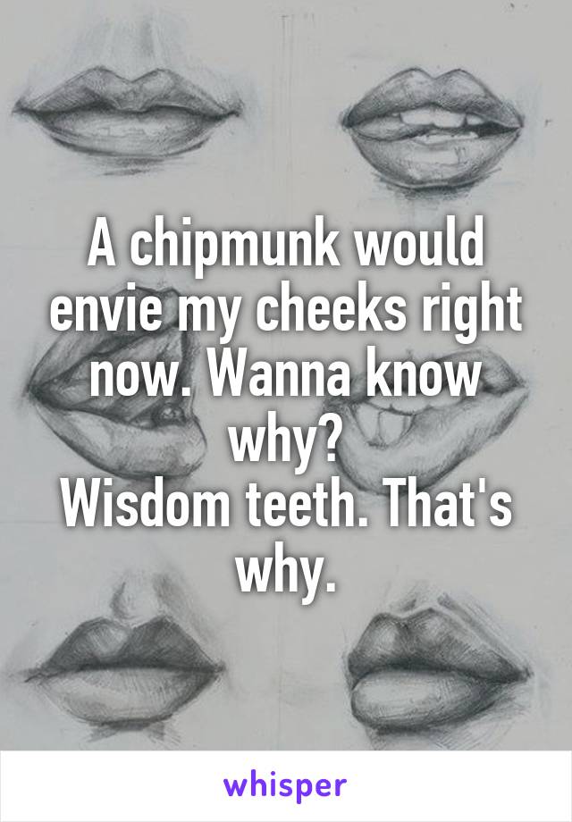 A chipmunk would envie my cheeks right now. Wanna know why?
Wisdom teeth. That's why.