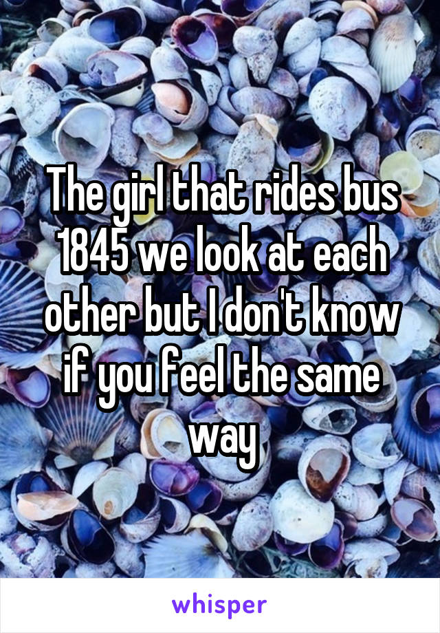 The girl that rides bus 1845 we look at each other but I don't know if you feel the same way