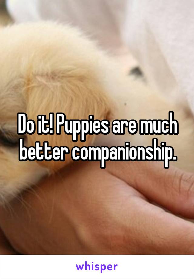 Do it! Puppies are much better companionship.