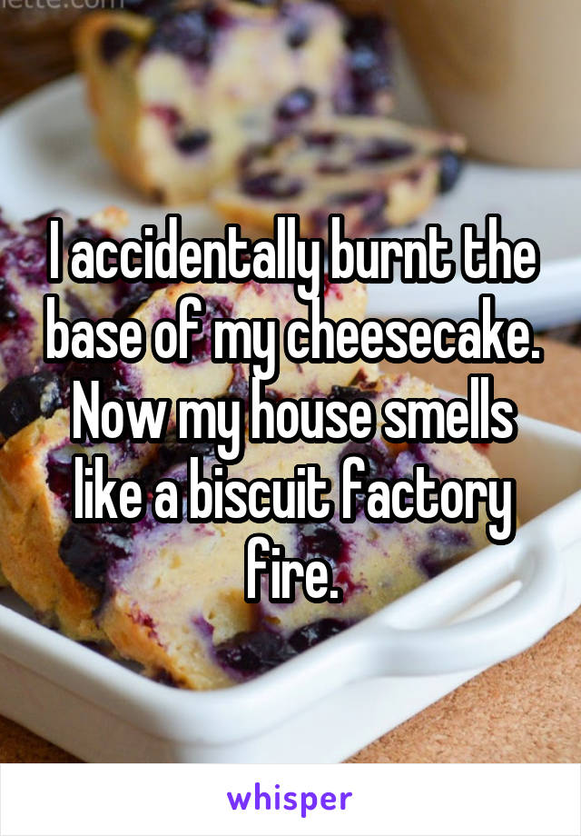 I accidentally burnt the base of my cheesecake. Now my house smells like a biscuit factory fire.