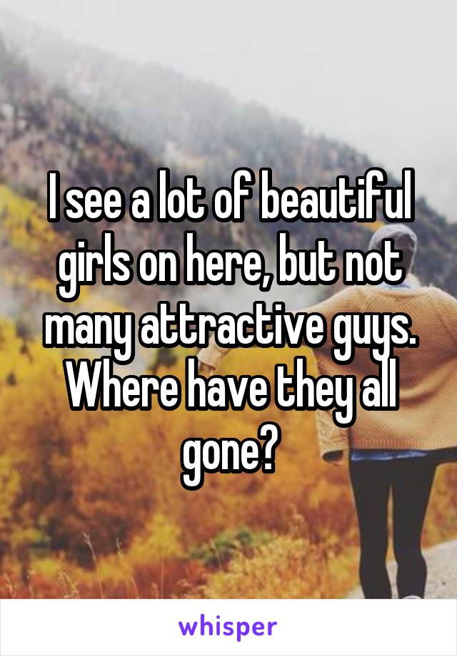 I see a lot of beautiful girls on here, but not many attractive guys. Where have they all gone?