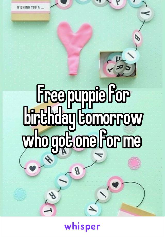 Free puppie for birthday tomorrow who got one for me 