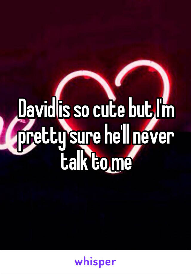 David is so cute but I'm pretty sure he'll never talk to me