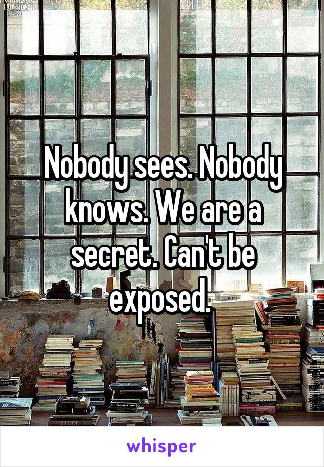 Nobody sees. Nobody knows. We are a secret. Can't be exposed. 