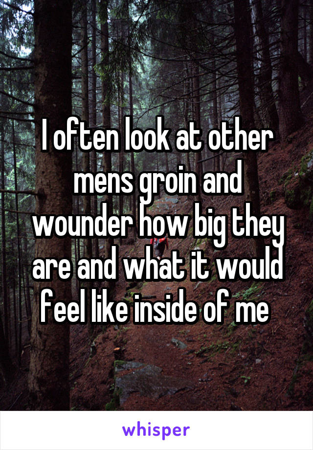 I often look at other mens groin and wounder how big they are and what it would feel like inside of me 