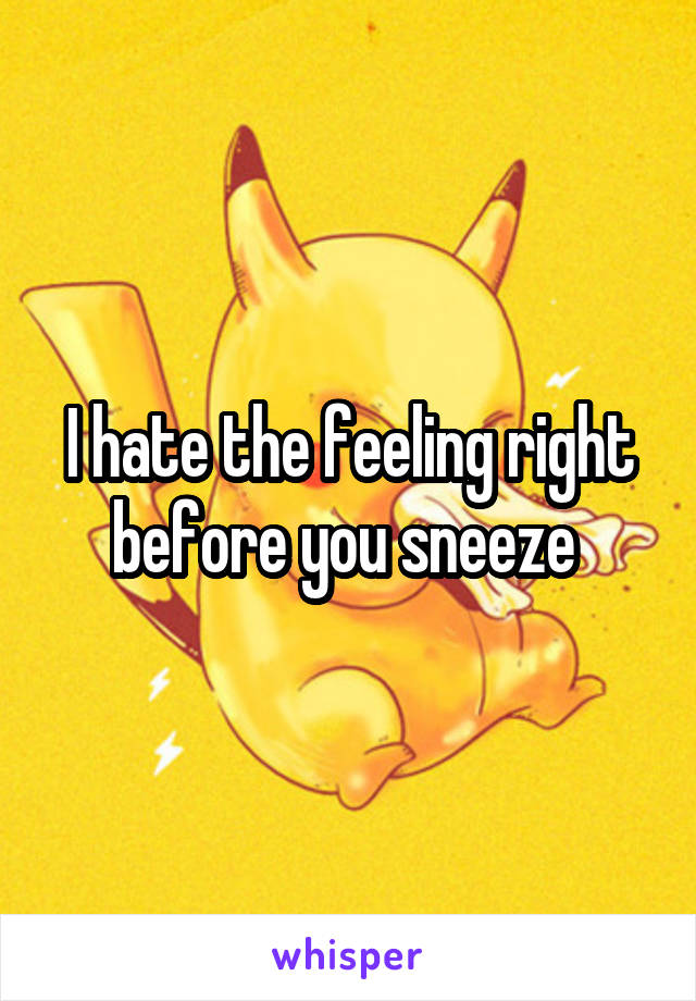 I hate the feeling right before you sneeze 