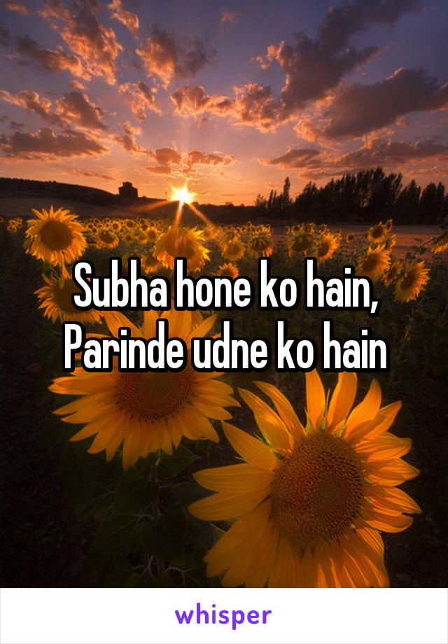 Subha hone ko hain,
Parinde udne ko hain