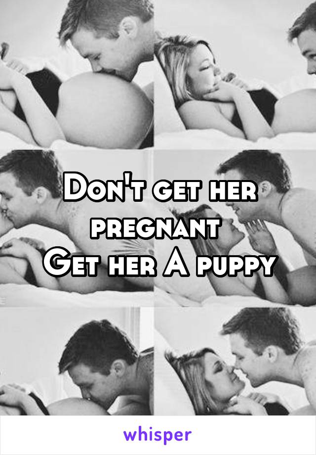 Don't get her pregnant 
Get her A puppy