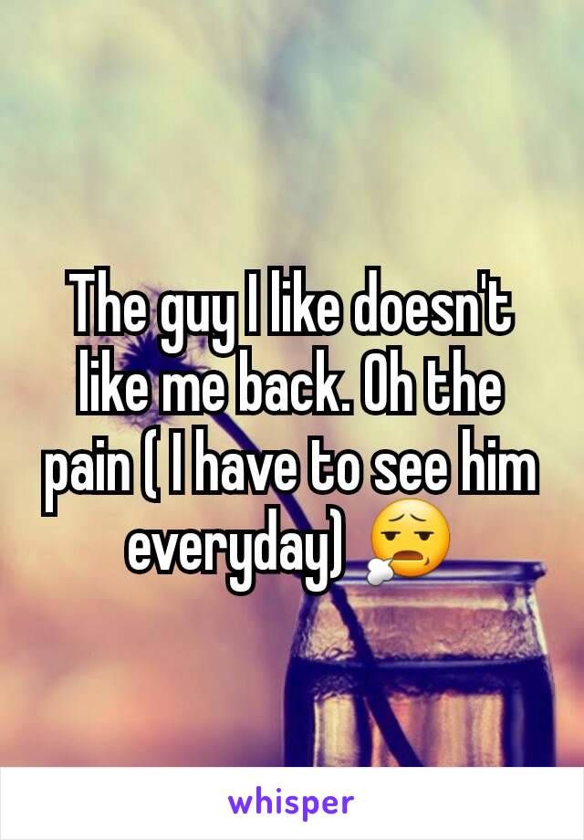 The guy I like doesn't like me back. Oh the pain ( I have to see him everyday) 😧