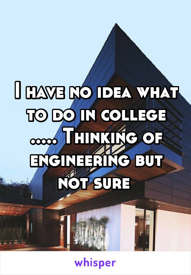 I have no idea what to do in college ..... Thinking of engineering but not sure 