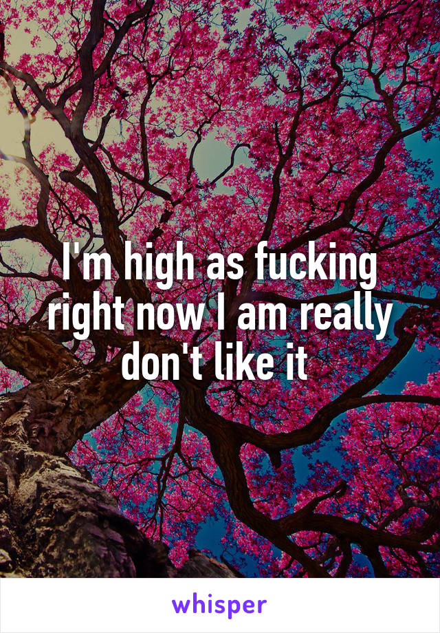 I'm high as fucking right now I am really don't like it 