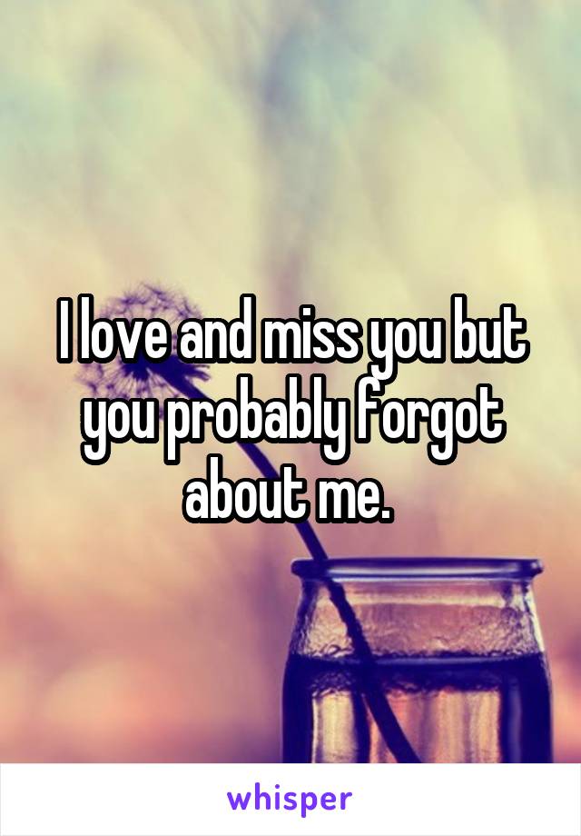 I love and miss you but you probably forgot about me. 