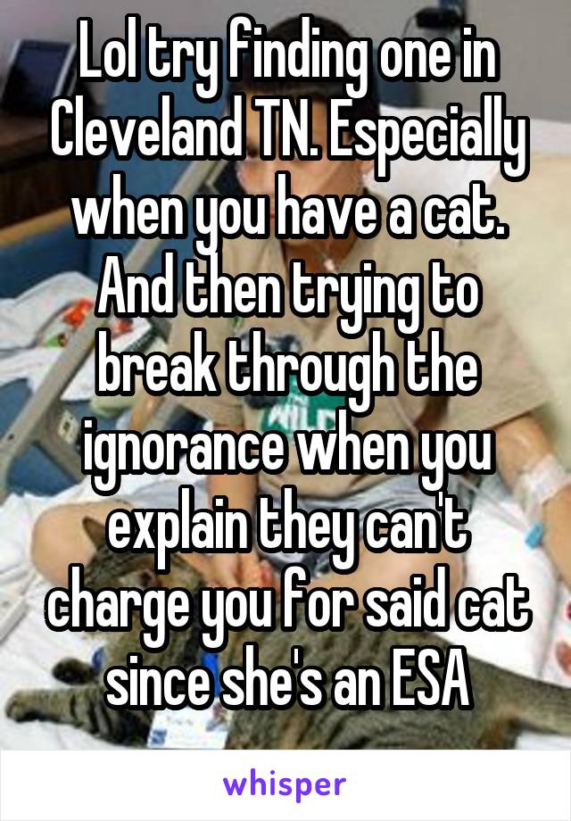 Lol try finding one in Cleveland TN. Especially when you have a cat. And then trying to break through the ignorance when you explain they can't charge you for said cat since she's an ESA
