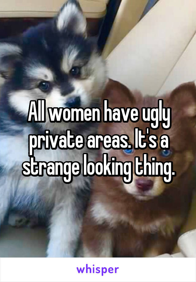 All women have ugly private areas. It's a strange looking thing.