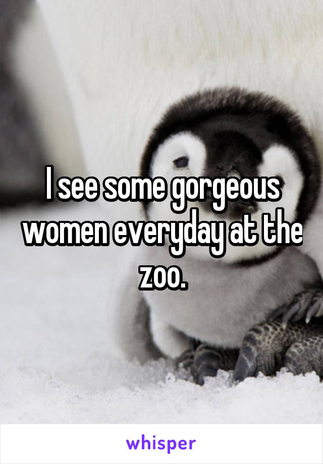 I see some gorgeous women everyday at the zoo.