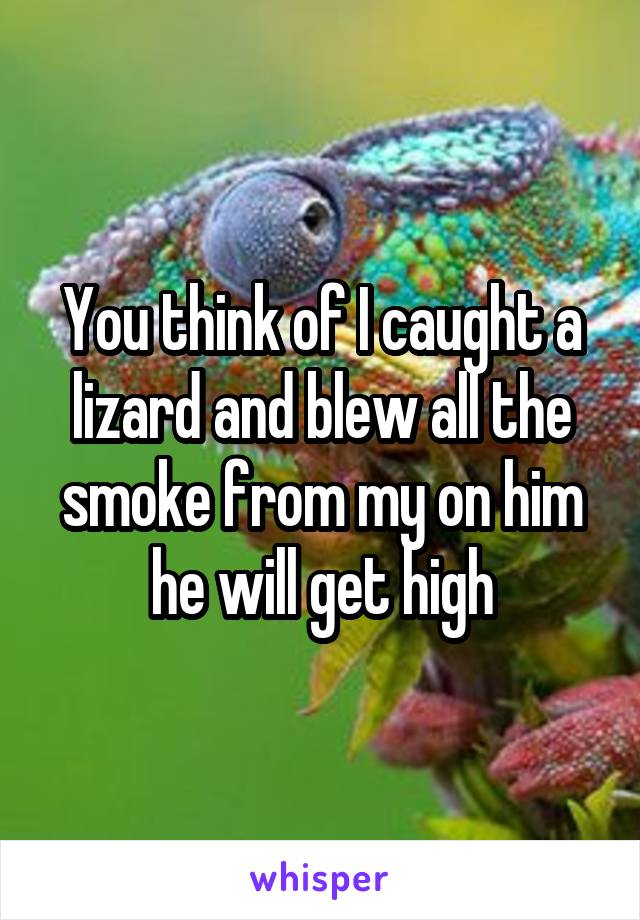 You think of I caught a lizard and blew all the smoke from my on him he will get high