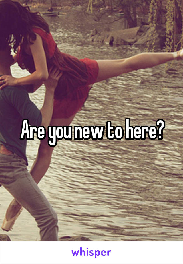 Are you new to here?