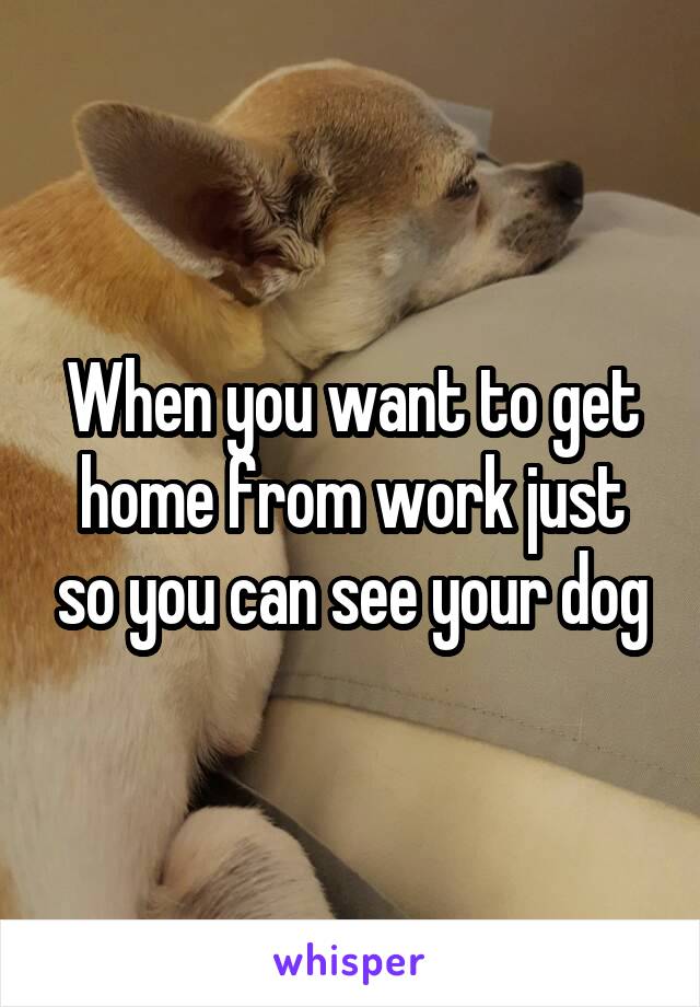 When you want to get home from work just so you can see your dog