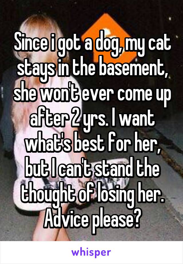 Since i got a dog, my cat stays in the basement, she won't ever come up after 2 yrs. I want what's best for her, but I can't stand the thought of losing her. Advice please?