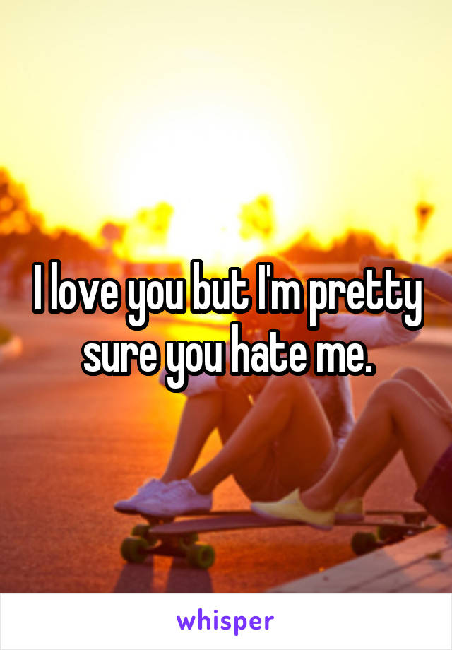 I love you but I'm pretty sure you hate me.