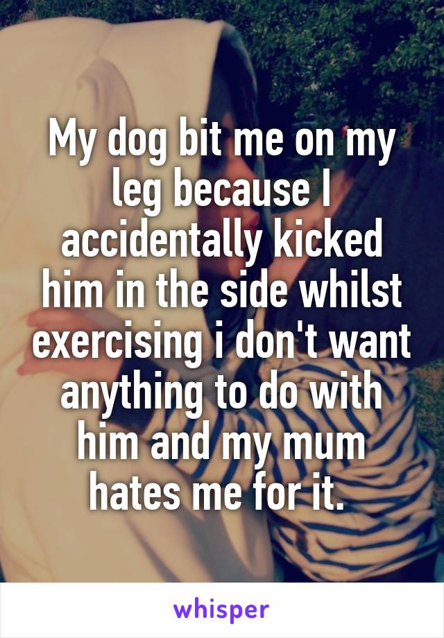 My dog bit me on my leg because I accidentally kicked him in the side whilst exercising i don't want anything to do with him and my mum hates me for it. 