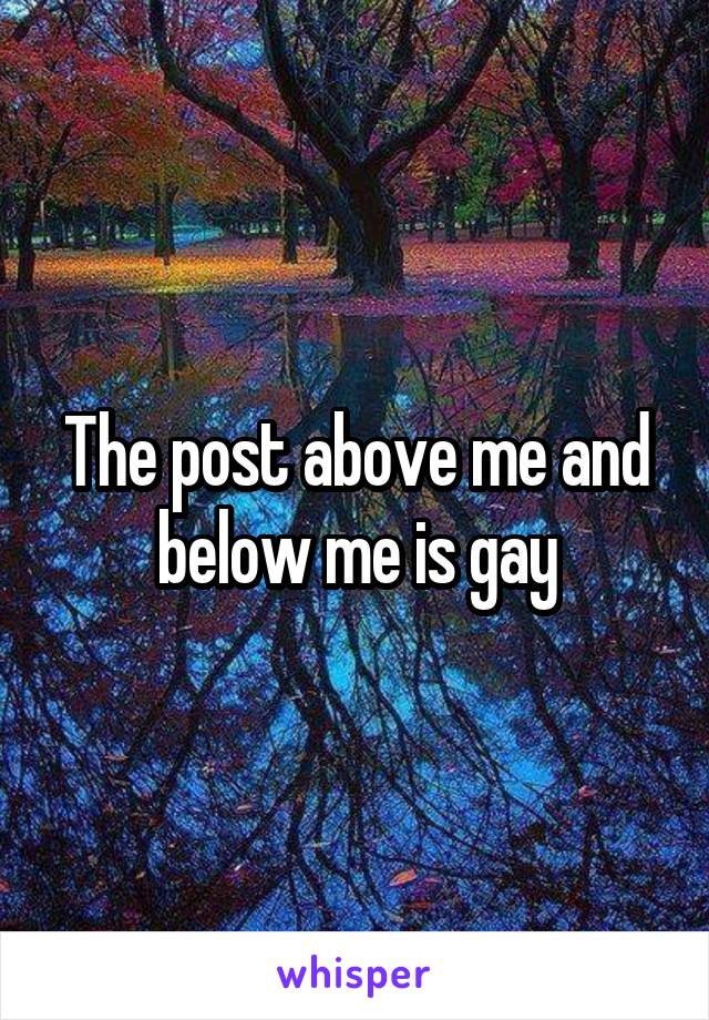 The post above me and below me is gay