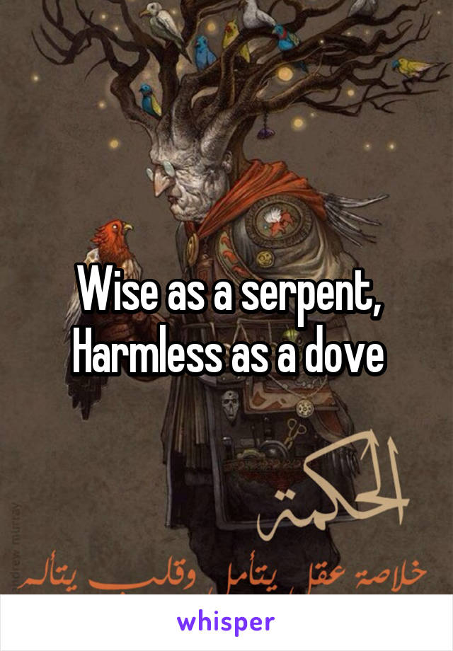 Wise as a serpent,
Harmless as a dove